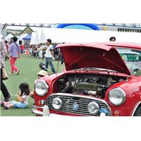 tcf150524 (58).JPG